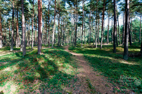 Niedziela, 3 października 2010 –Fotorelacja Pogodowa