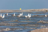 Sobota, 2 października 2010 – Fotorelacja Pogodowa