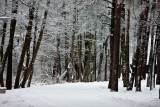 Zima w Pogorzelicy - Zima nad morzem