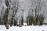 Zima w Niechorzu - Zima nad morzem