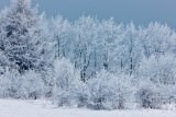 Zima w Niechorzu - Zima nad morzem